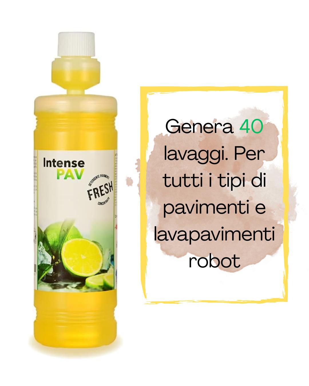 INTENSE PAV FRESH