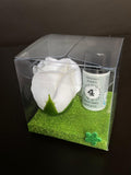 CONFEZIONE PROFUMO BUCATO - MUSCHIO BIANCO