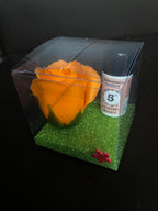 CONFEZIONE PROFUMO BUCATO - MANDARINO E VANIGLIA