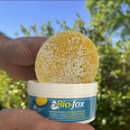 BIO FOX - DETERGENTE UNIVERSALE