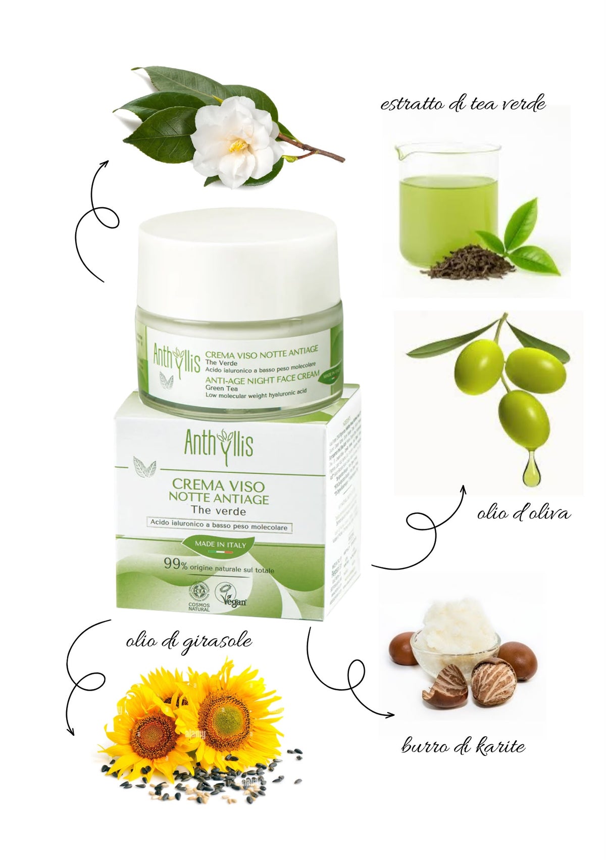 CREMA VISO ANTIAGE NOTTE - ANTHYLLIS