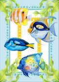 CANOVACCIO - ACQUARIO