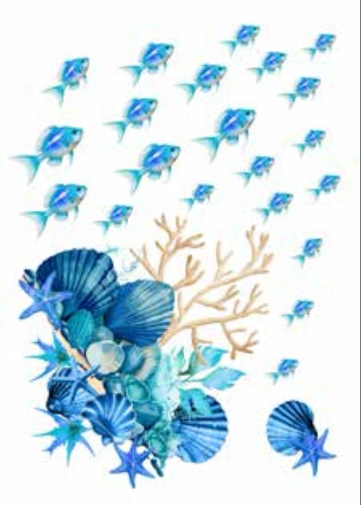 CANOVACCIO - PESCI BLU