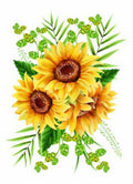 CANOVACCIO - GIRASOLI