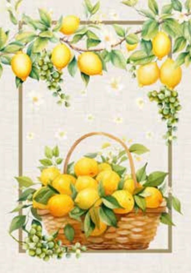 CANOVACCIO - LIMONI