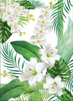 CANOVACCIO - ORCHIDEA