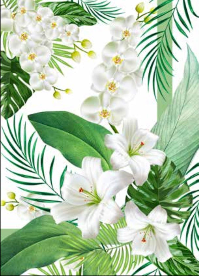CANOVACCIO - ORCHIDEA