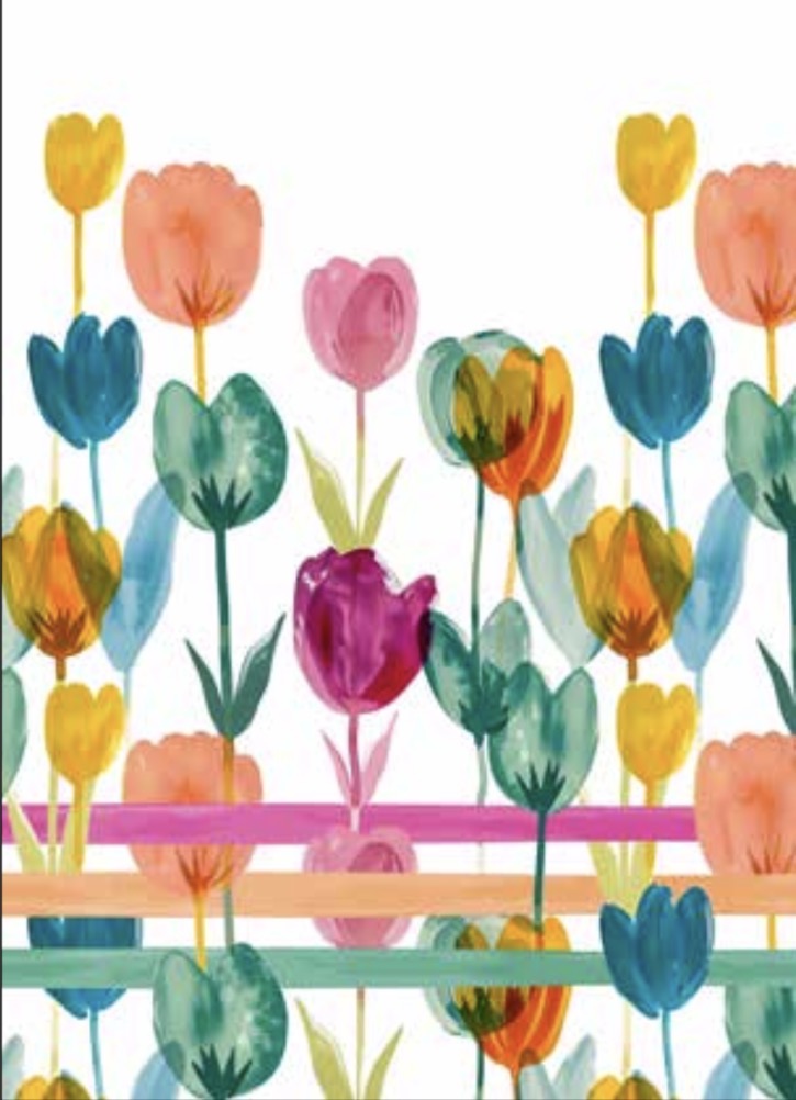 CANOVACCIO - TULIPANI