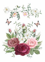 CANOVACCIO - ROSA