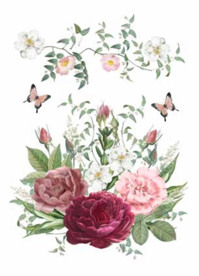 CANOVACCIO - ROSA