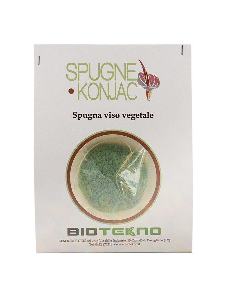 SPUGNA KONJAC - VERDE